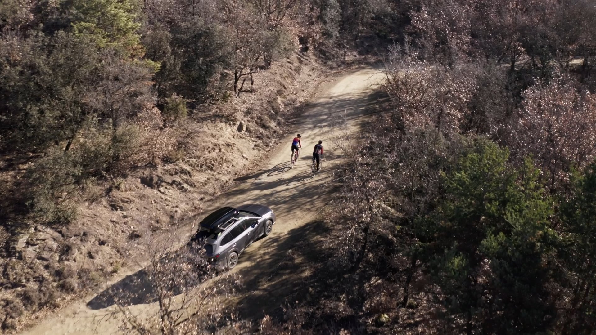 ART20 – Capítol 4