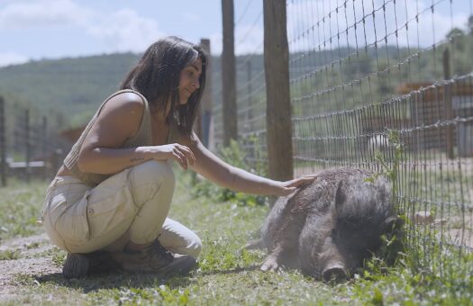 mini documental sobre Paola Calasanz y Reserva Wild Forest